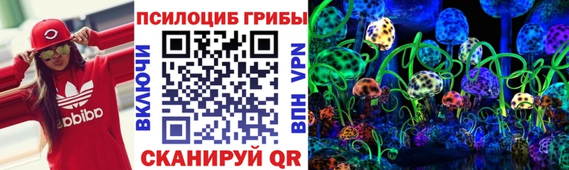 Купить закладки  Пудож  Псилоцибиновые грибы Psilocybine cubensis 